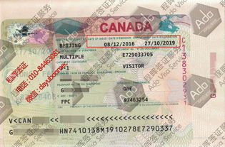 签证服务批发与供应 商务签证的快捷解决方案