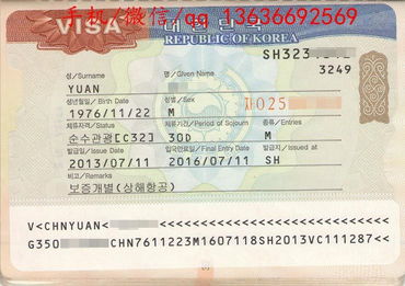 签证优惠全解析 美亚保险与多国签证便捷办理指南