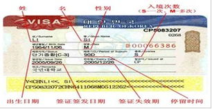 韩国签证类型及门票预定指南 轻松规划您的韩国之旅